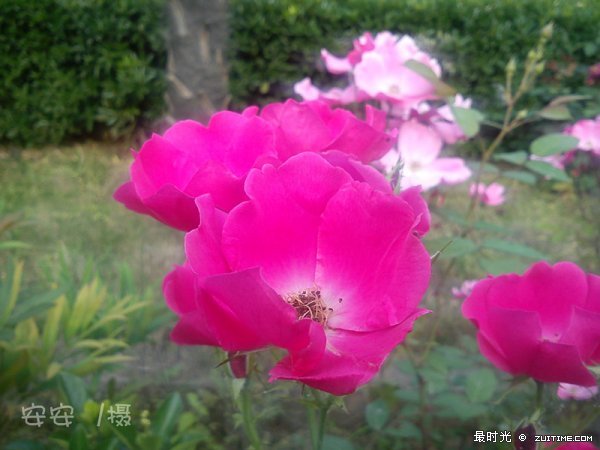 Camera_20120509_161013__副本.jpg